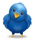 The Twitter Bird of Wisdom