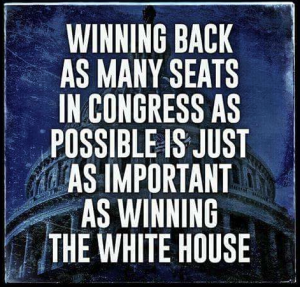 winningbackcongress